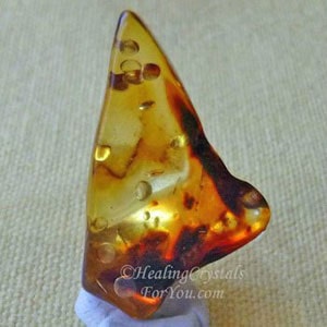 Amber Stone Meaning & Use Potent Healer Clears The Mind & Eases Stress