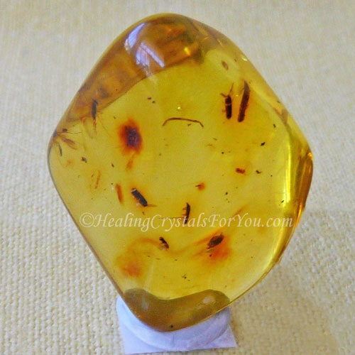 Amber & Poland: A History Crafted in Resin, Article