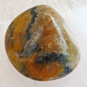 Bumble Bee Jasper