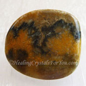 Bumble Bee Jasper