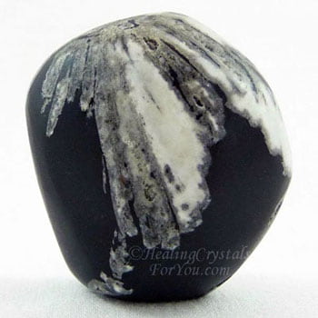  Chrysanthemum Stone