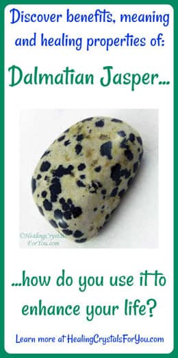 Dalmatian Jasper Meaning Use Helps You Discover Your True Purpose