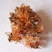 Creedite