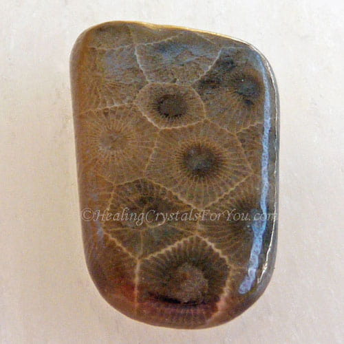 Petoskey Stone Meaning Properties and Powers